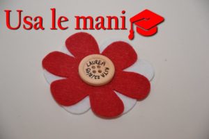 laurea fai da te